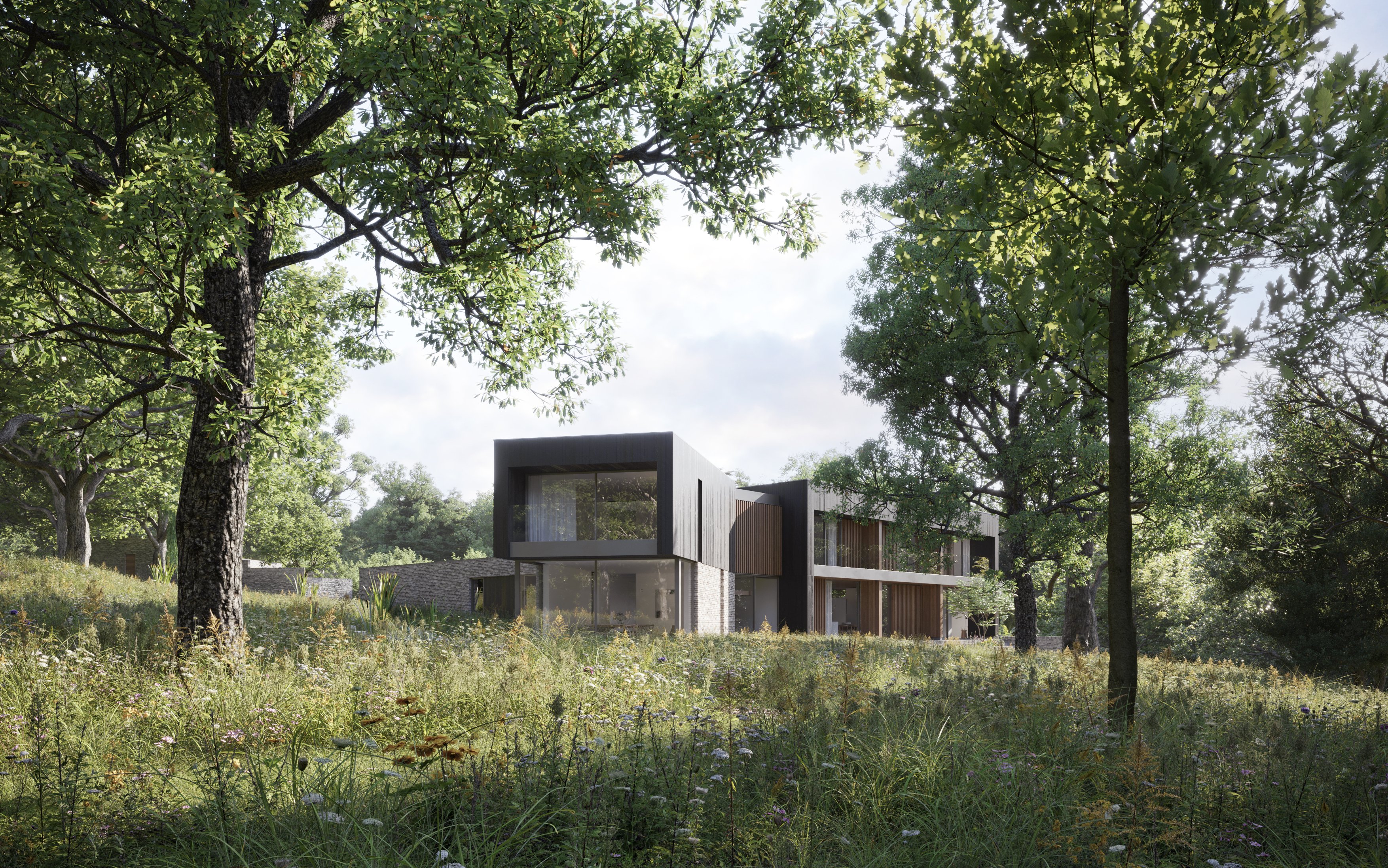Contemporary new dwelling in the New Forest National Park